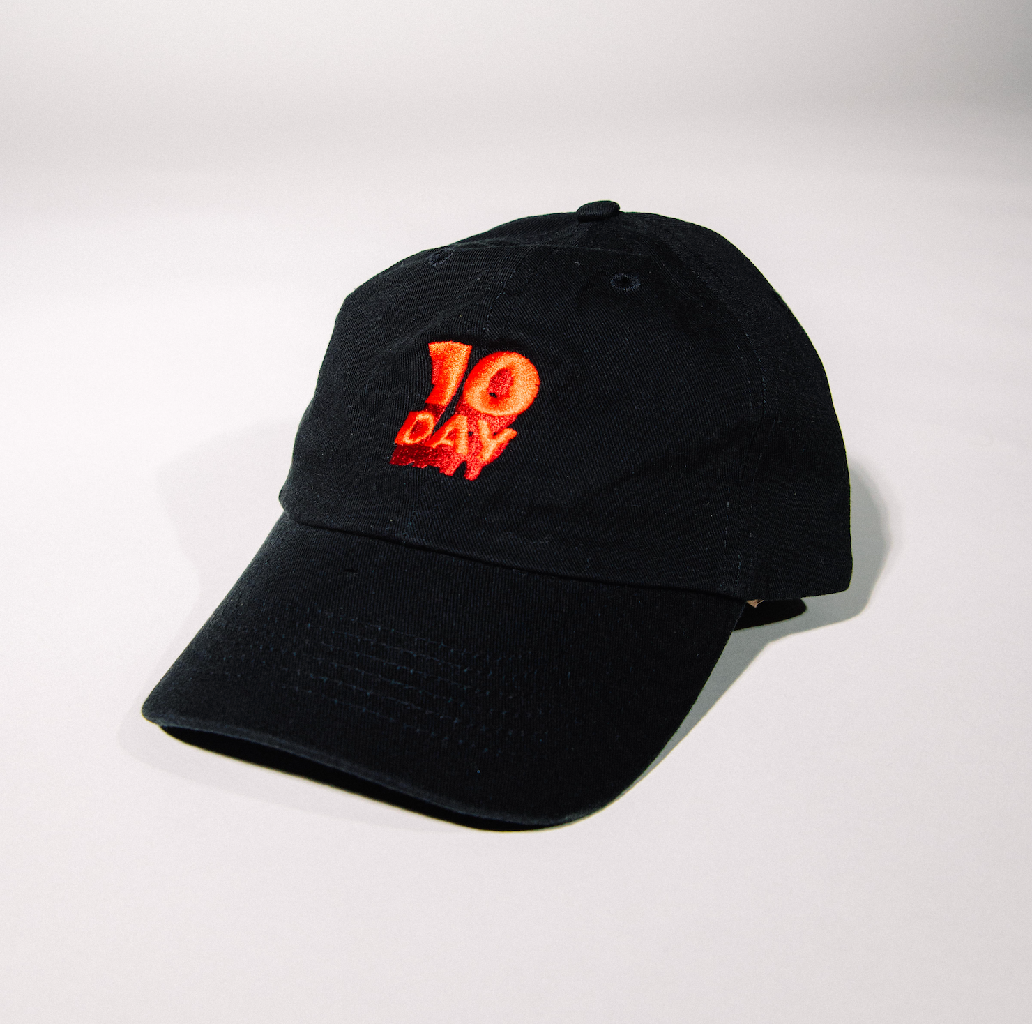 10 Day Dad Hat