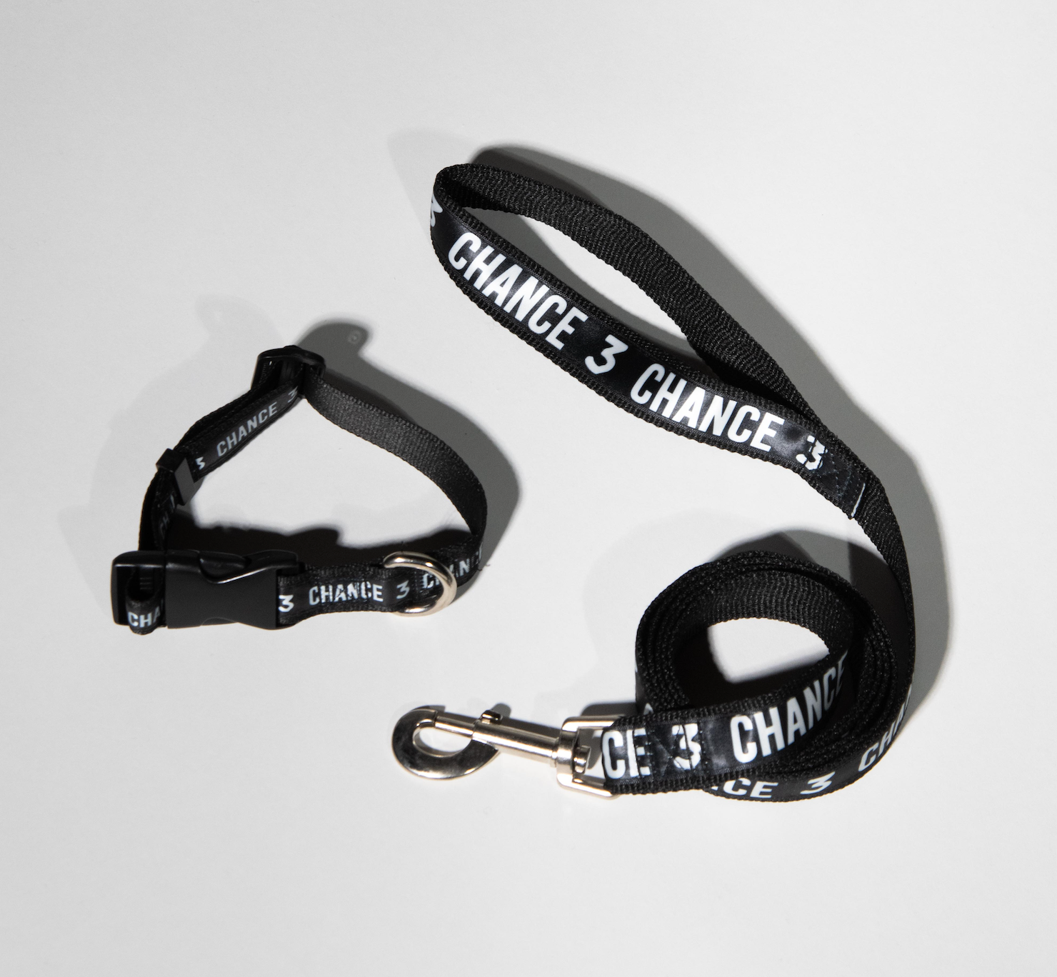 Chance 3 Dog Leash & Collar