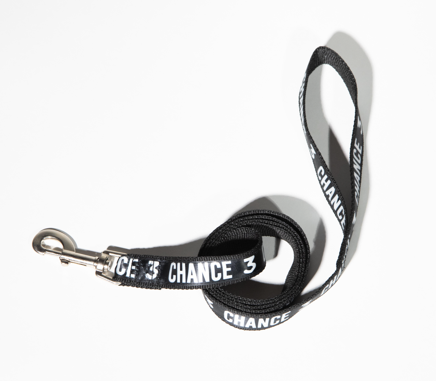 Chance 3 Dog Leash & Collar