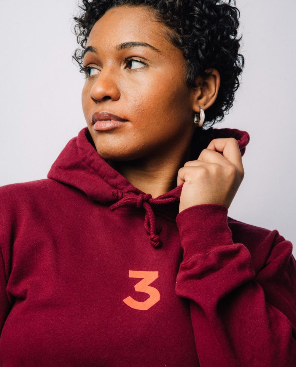 Cardinal 3 Hoodie
